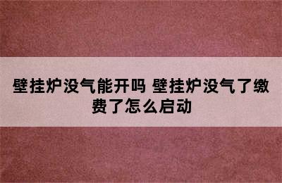 壁挂炉没气能开吗 壁挂炉没气了缴费了怎么启动